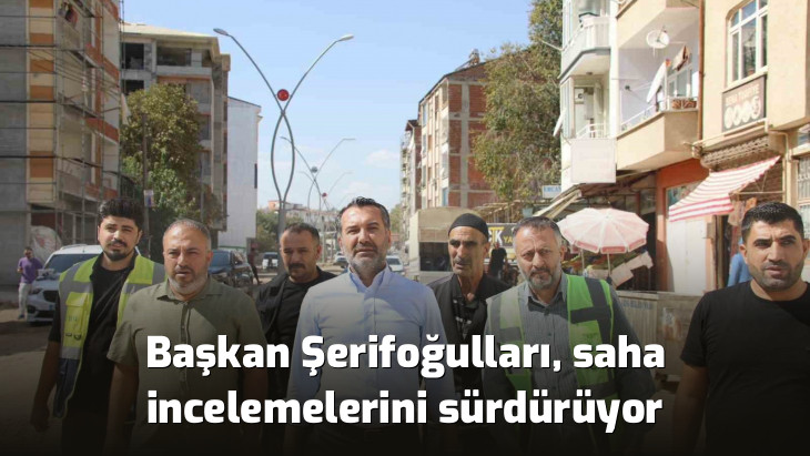 Başkan Şerifoğulları, saha incelemelerini sürdürüyor