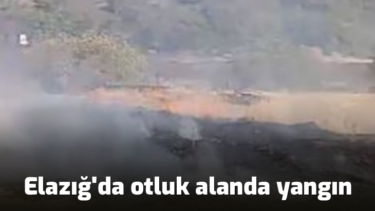 Elazığ'da otluk alanda yangın