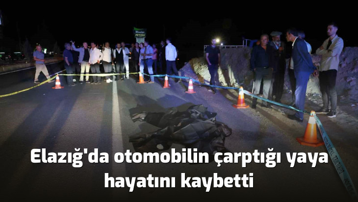 Elazığ'da otomobilin çarptığı yaya hayatını kaybetti